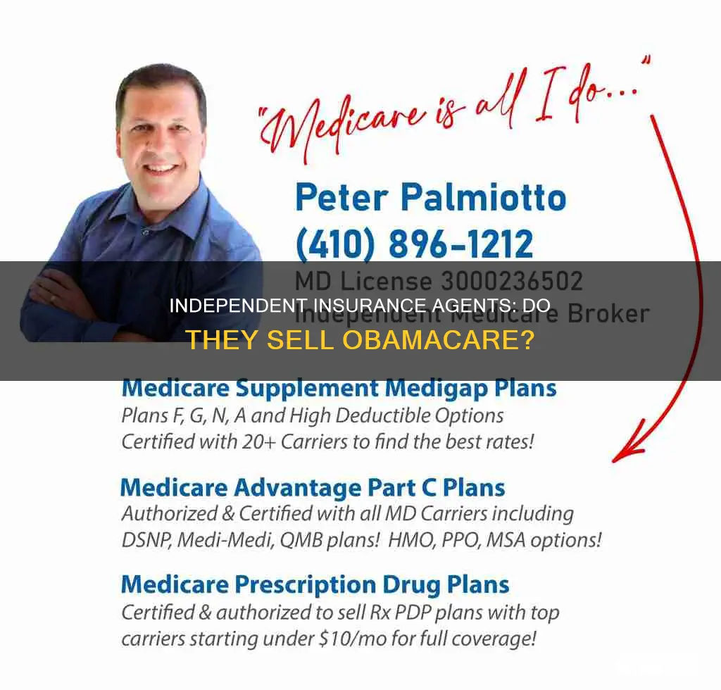 do independent insurance agent sell obamacare