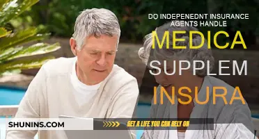 Medicare Supplemental Insurance: Independent Agents' Role