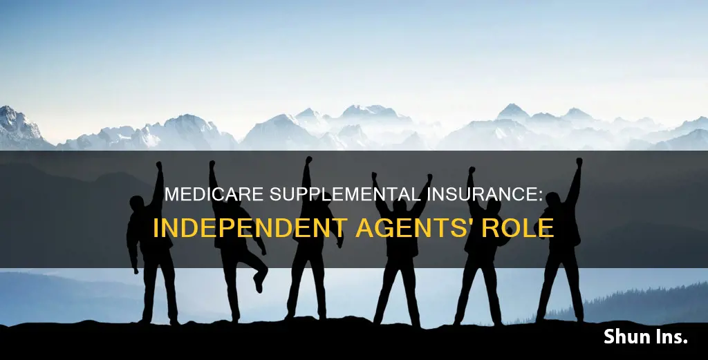 do indepenednt insurance agents handle medicare supplemental insurance
