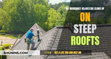 Steep Rooftop Adventures: The Perils of an Insurance Adjuster's Job