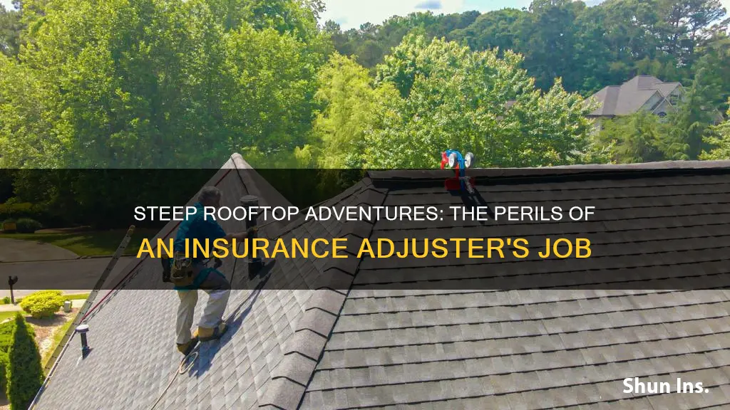 do insurance adjusters climb up on steep roofts