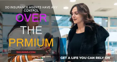 Insurance Agents: Premium Control and Power Dynamics