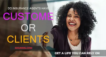 Understanding the Insurance Agent-Client Relationship