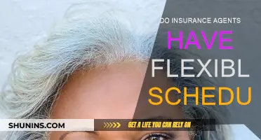 Flexible Schedules: A Reality for Insurance Agents?