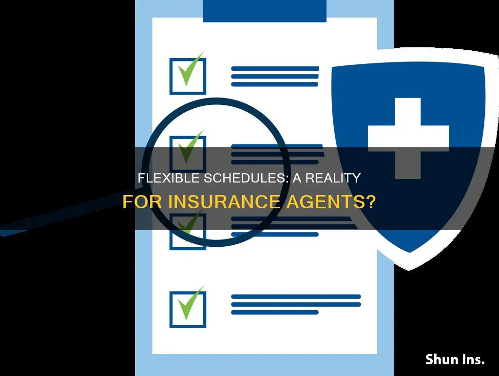 do insurance agents have flexible schedules