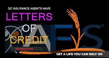 Credit Letters: A Necessity for Insurance Agents
