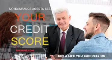 Credit Scores: What Insurance Agents Can See