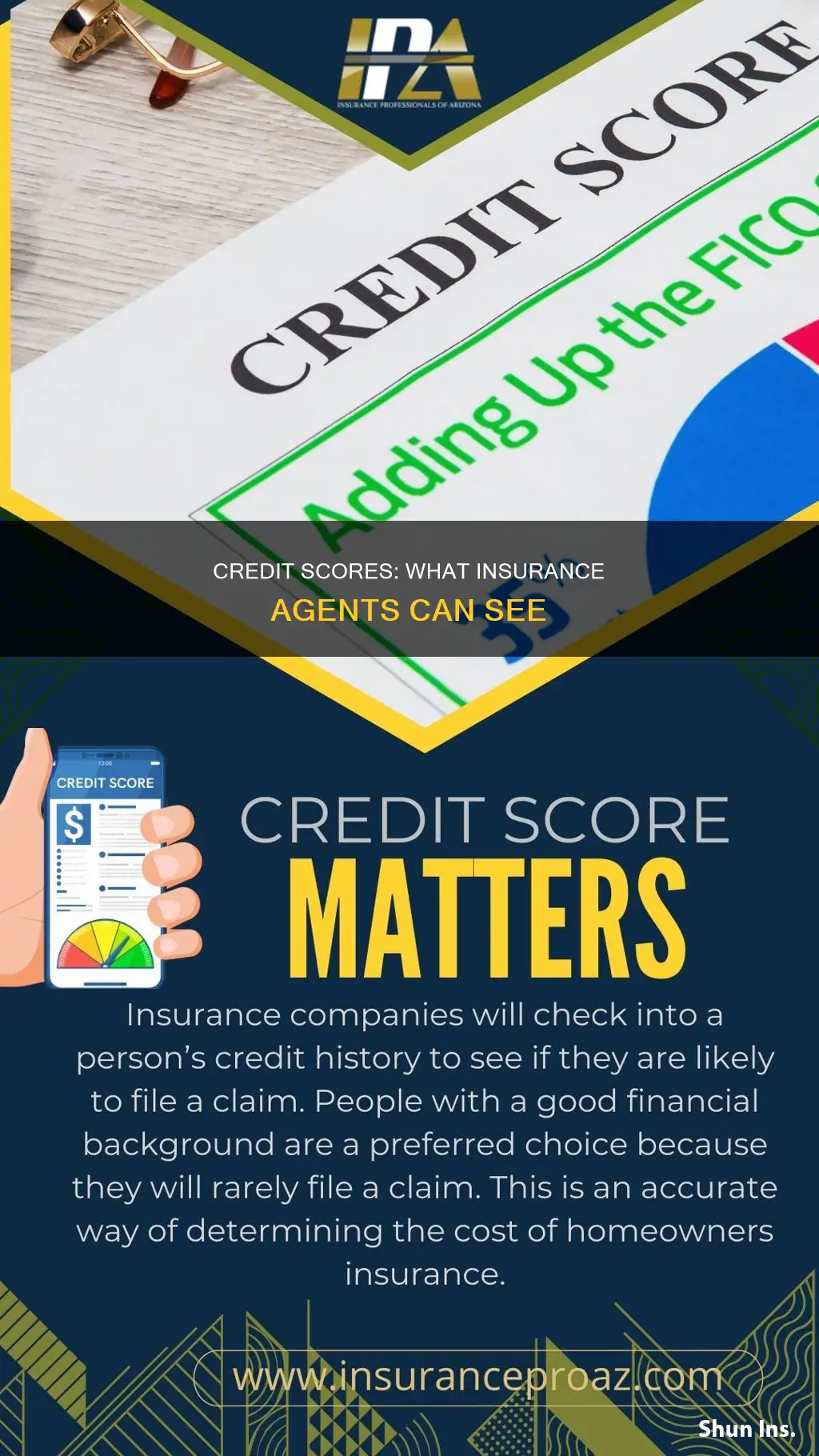 do insurance agents see your credit score