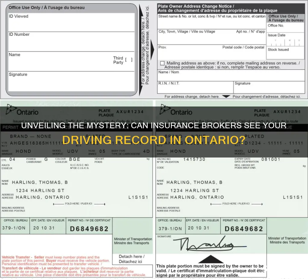 do insurance brokers have access to driver history in ontario