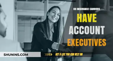 Account Executives: Insurance Carrier's Key Partners