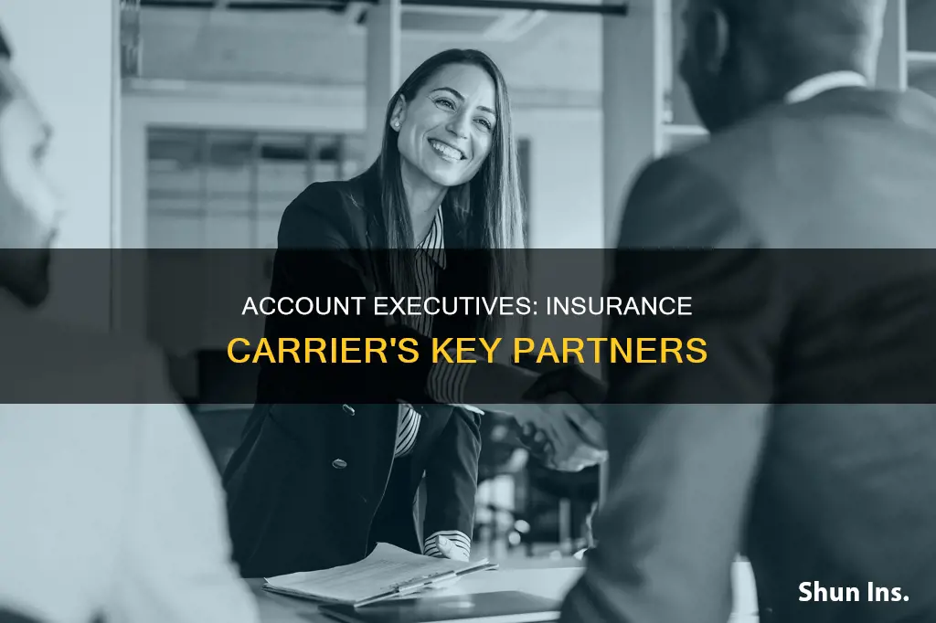 do insurance carriers have account executives