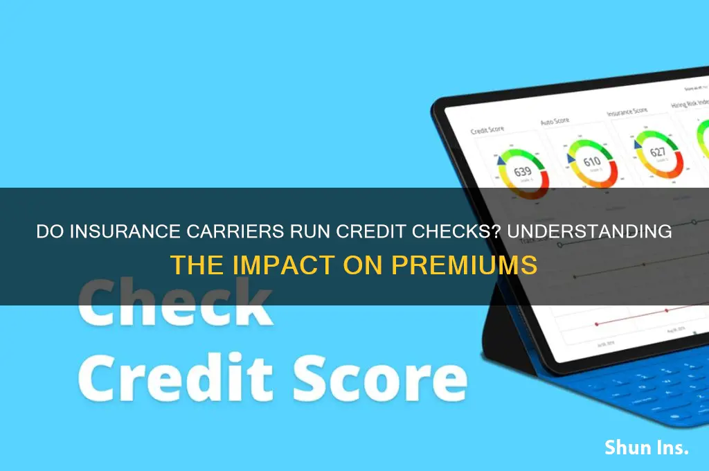 do insurance carriers run credit