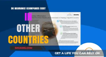 Global Insurance Presence: Exploring International Companies and Their Reach