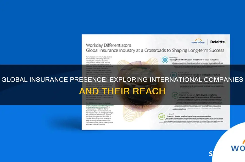 do insurance ccompanies exist in other countries