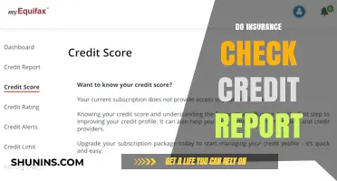 Credit Reports and Insurance: What's the Connection?