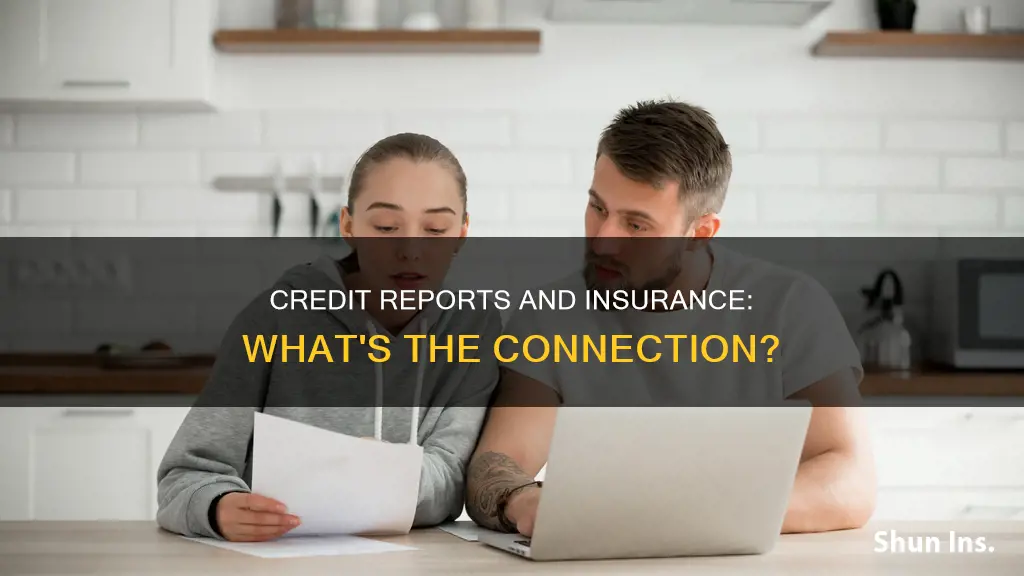 do insurance check credit report