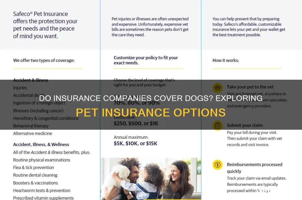 do insurance compainies insure dogs