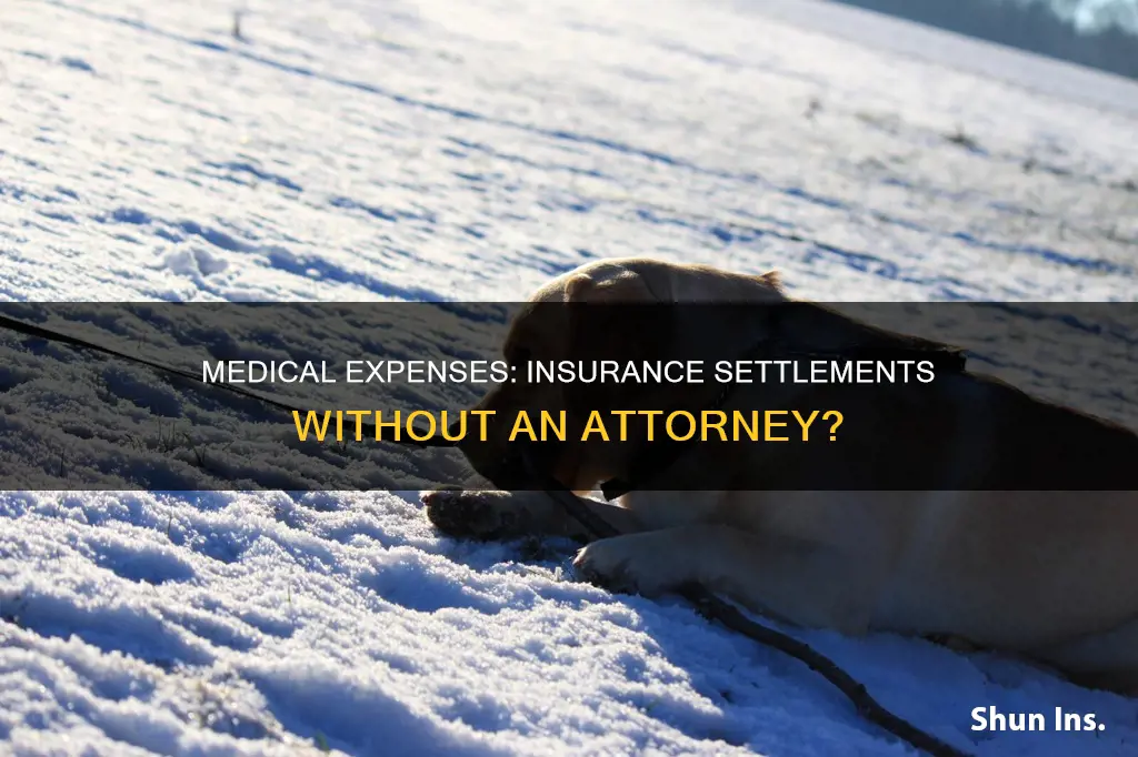 do insurance companies settle medical expenses without an attorney