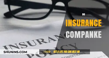 Do Insurance Companies Really Cover All Your Needs? Find Out Now