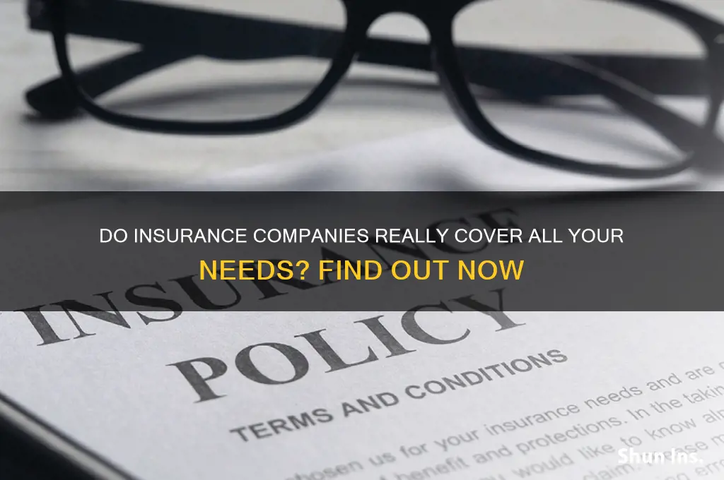 do insurance companke