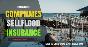 Do Insurance Companies Offer Flood Insurance? What You Need to Know