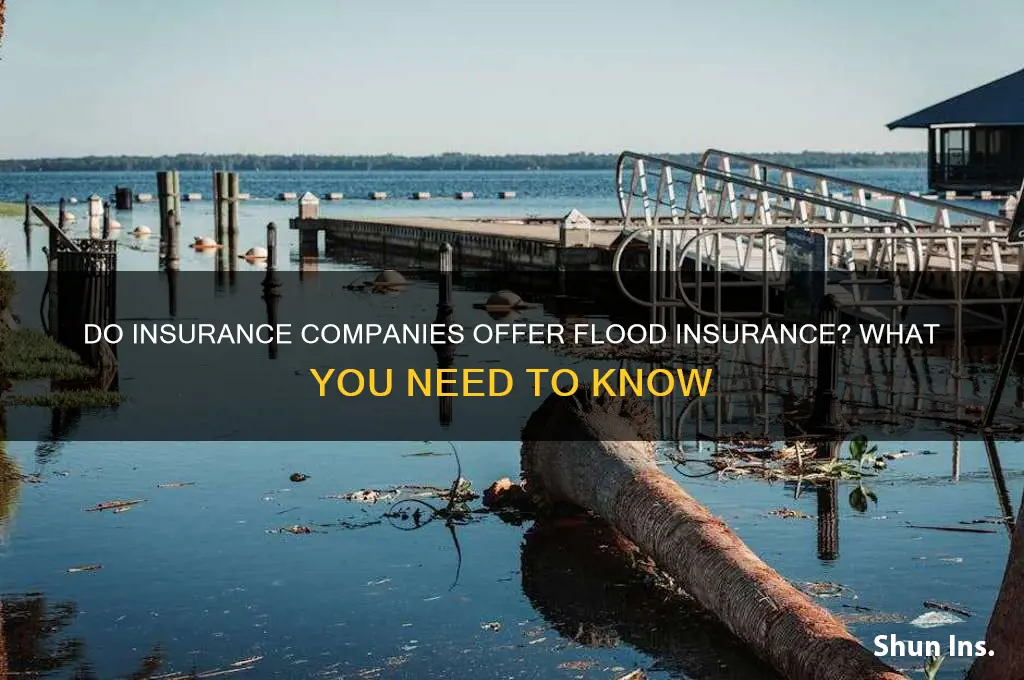 do insurance compnaies sellflood insurance