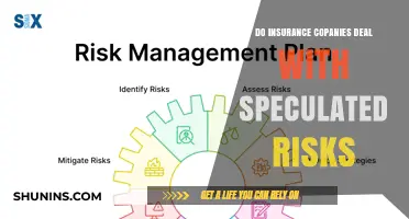 Speculative Risks: Are Insurance Companies Taking a Gamble?