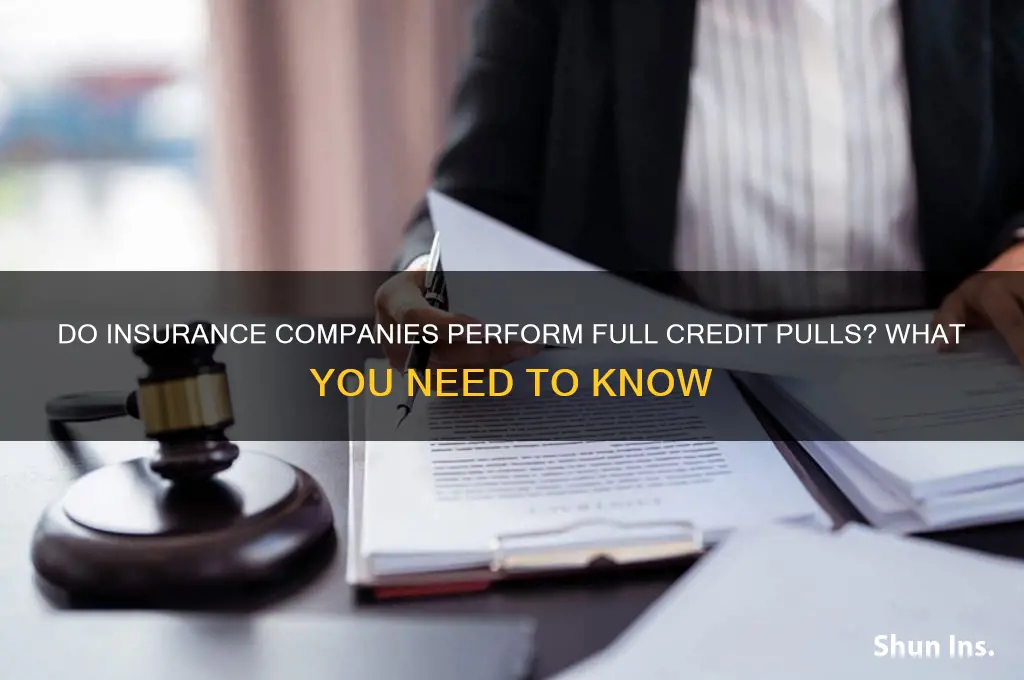 do insurance cpanies do a full credit pull