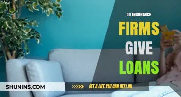Can Insurance Companies Offer Loans? Exploring Financial Services Options