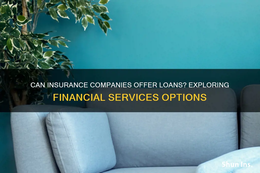do insurance firms give loans