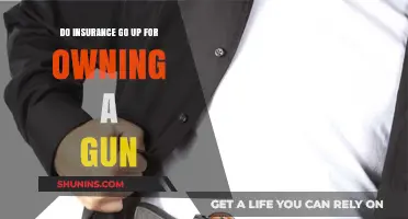 Gun Ownership: Insurance Hike or Peace of Mind?