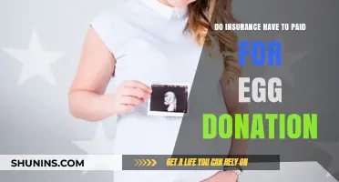 Egg Donation Insurance: Who Pays and What’s Covered?