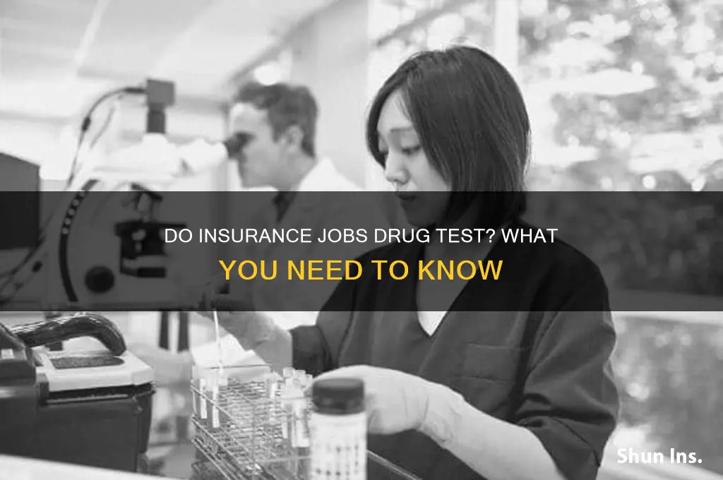 do insurance jobs drug test