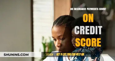 Insurance Payments: Do They Affect Your Credit Score?