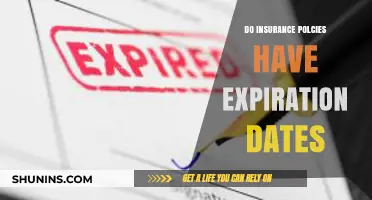 Do Insurance Policies Expire? Understanding Policy Expiration Dates