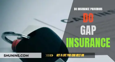 Gap Insurance: What Providers Offer