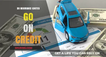 Credit Checks and Insurance Quotes: What's the Link?