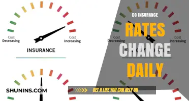 Insurance Rates: A Dynamic Pricing Strategy