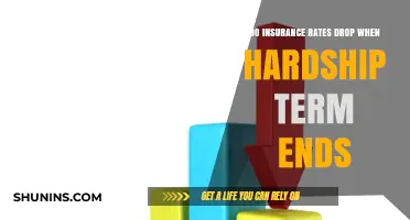 Understanding Insurance Rates: Post-Hardship Term