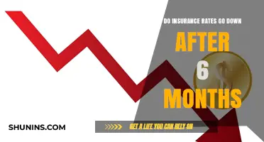 Understanding Insurance Rates: The Six-Month Mark