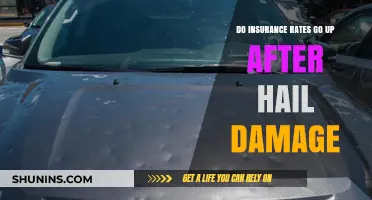 Hail Damage: Insurance Rates and What to Expect