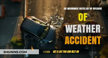 Weather Accidents: Insurance Rates and Climate Change