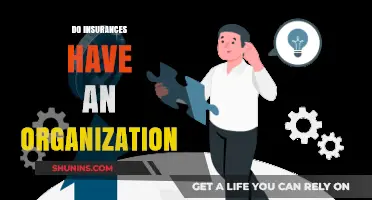 Understanding Insurance Organizations: Structure, Regulation, and Industry Oversight Explained