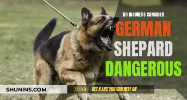 German Shepherds: Insurance Liability?