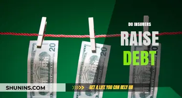 Do Insurers Raise Debt? Exploring Funding Strategies in the Insurance Sector