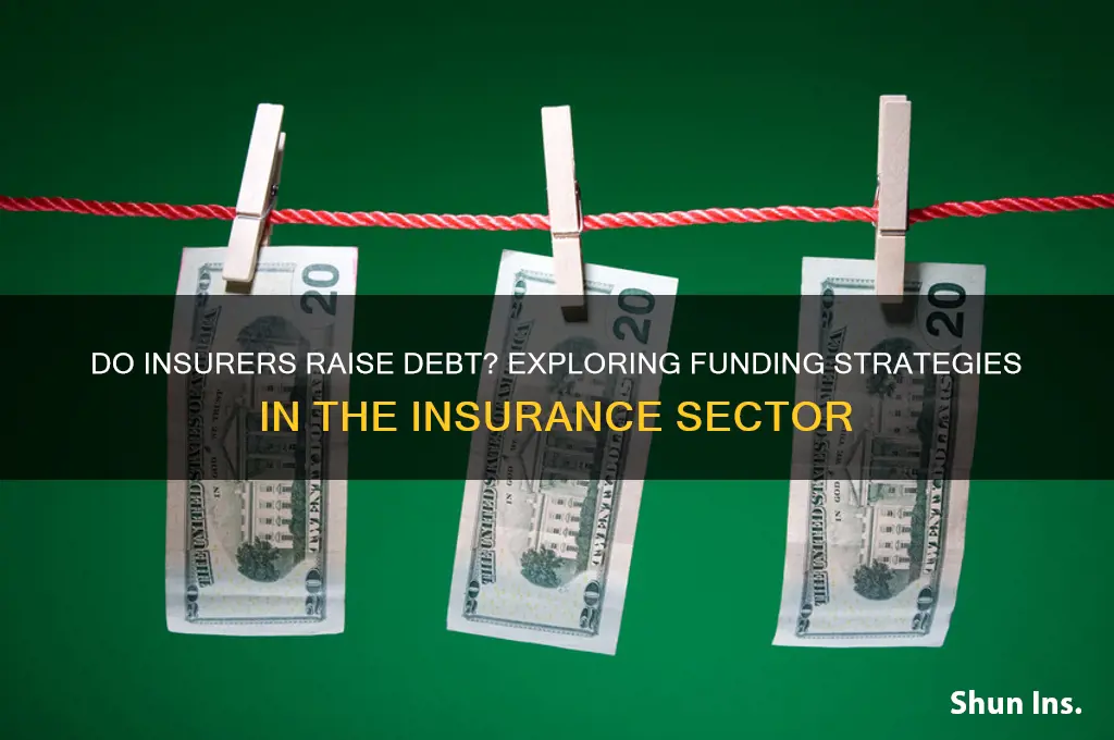 do insurers raise debt