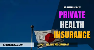 Understanding Japan's Private Health Insurance: Coverage, Costs, and Benefits