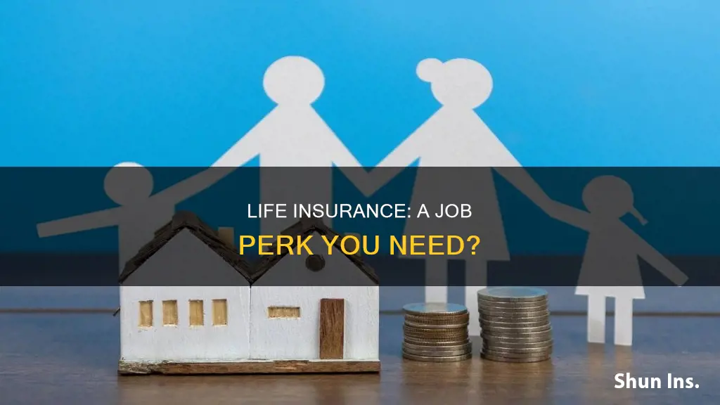 do jobs offer life insurance