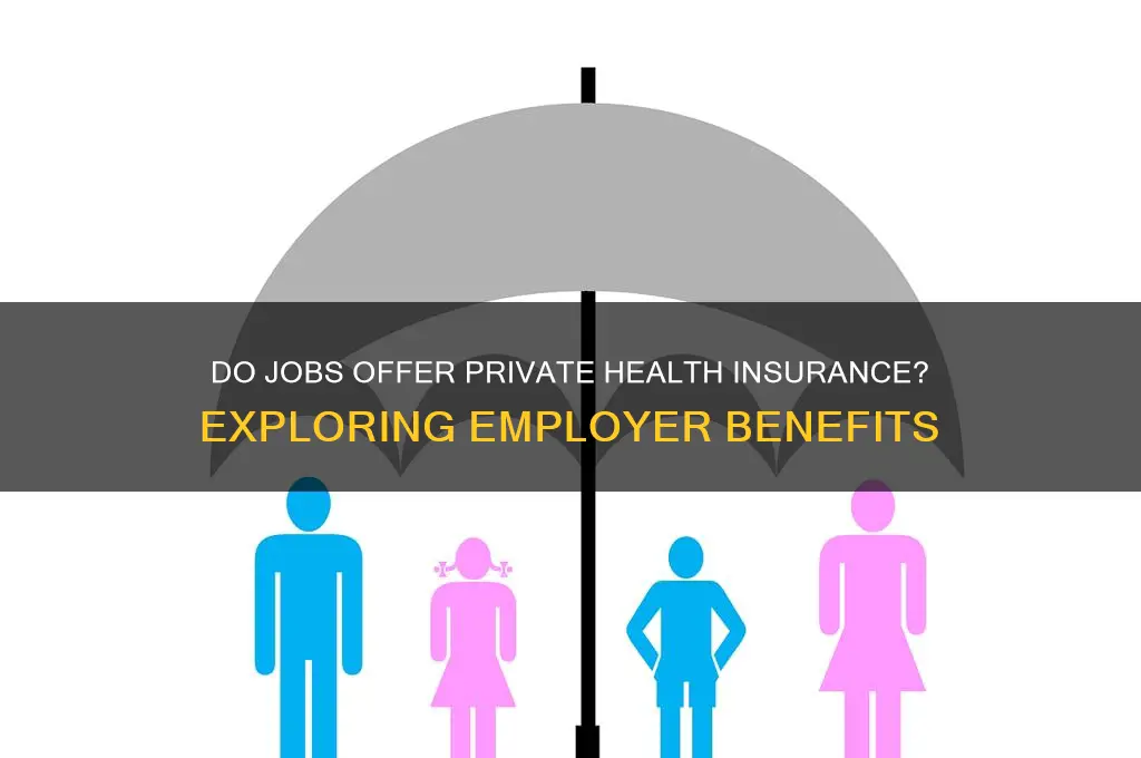 do jobs provide private health insurance