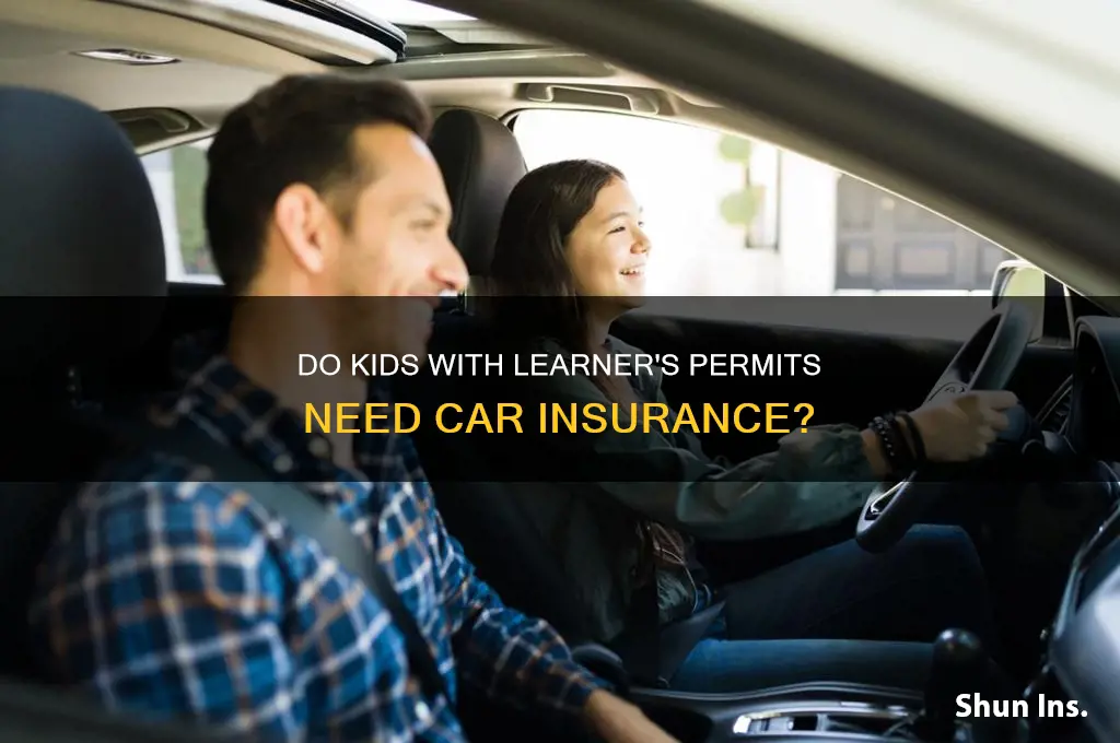 do kids with learners permits needcar insurance